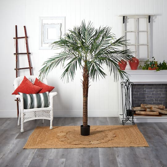 6ft. Potted Robellini Palm Tree
